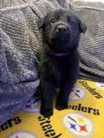 processed/30245e5b-f79d-4cfc-84e0-3105ef01e3bb/listing/a493a74a-848c-49e2-a4fc-51a105c8e980/bb8957f1-b16d-4816-b8aa-8972802bcc11