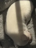 processed/3037f95f-e586-4fd0-b059-ecb230abbd28/listing/68c0c586-bf63-4848-98d3-fc1702c9f2d7/421c616b-806d-456f-b49e-4f06b97b57cd