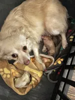 processed/3037f95f-e586-4fd0-b059-ecb230abbd28/listing/68c0c586-bf63-4848-98d3-fc1702c9f2d7/71061d18-a4bf-493a-97f4-14efd86cd5c3