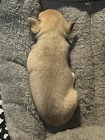 processed/3037f95f-e586-4fd0-b059-ecb230abbd28/listing/6f3ec842-8822-4bb4-af13-dae9f2ee7acd/1cb8152b-7980-4da0-84e9-8f21c6b58e2a