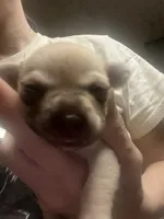 processed/3037f95f-e586-4fd0-b059-ecb230abbd28/listing/6f3ec842-8822-4bb4-af13-dae9f2ee7acd/ba5d02f2-e1cb-410f-a139-463053a39622