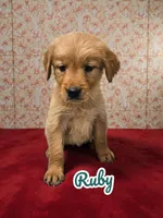 processed/30397a3b-8151-4f4a-b7b4-b092f9d90429/facility/4bb3294b-a145-4c77-8596-54f9a52e9f26