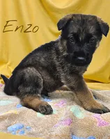 processed/30397a3b-8151-4f4a-b7b4-b092f9d90429/facility/a92f2df8-89c1-4547-a966-43de322face7