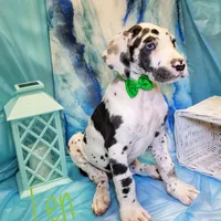 processed/30397a3b-8151-4f4a-b7b4-b092f9d90429/facility/c0e31b66-e3f1-4346-b038-31c122868cd2