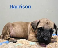 processed/30397a3b-8151-4f4a-b7b4-b092f9d90429/listing/19c0c448-3bec-4555-bfe2-89a64e80fdd9/0cd70cb6-8f32-4d3d-868b-6b87d405fd24