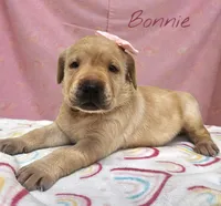 processed/30397a3b-8151-4f4a-b7b4-b092f9d90429/listing/47087e50-218f-4cdf-b44c-a735ac02acfb/3645bd18-0fa8-4d01-b827-9c56cae12414