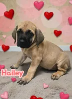 processed/30397a3b-8151-4f4a-b7b4-b092f9d90429/listing/7a1f5cbf-5512-433c-9731-f51d5002b1d7/854f4459-6afe-4358-8ba5-912dac9b97d8