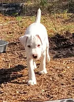 processed/303ddbae-68ca-4f43-9ffc-b3536ef43251/listing/8e187db4-0212-4f35-839b-04a6a3230d32/41e702ce-1839-424f-bcee-cb43c35579fa