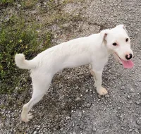 processed/303ddbae-68ca-4f43-9ffc-b3536ef43251/listing/8e187db4-0212-4f35-839b-04a6a3230d32/9cb26290-ad0c-49f7-9e44-ef98ca5edc75