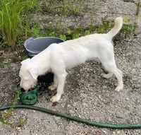 processed/303ddbae-68ca-4f43-9ffc-b3536ef43251/listing/8e187db4-0212-4f35-839b-04a6a3230d32/fcfddb75-4c5e-4989-9720-e5e6e59a0e5b