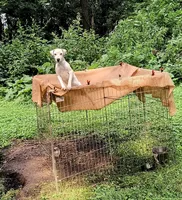 processed/303ddbae-68ca-4f43-9ffc-b3536ef43251/listing/93763267-fb94-48d0-964d-250fa84be013/31430eb5-8c6c-4214-a407-02e04d0884c8