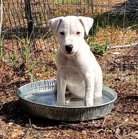 processed/303ddbae-68ca-4f43-9ffc-b3536ef43251/listing/93763267-fb94-48d0-964d-250fa84be013/be10619f-59cb-46ea-a6fa-7967c95a2d7c