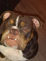 processed/30482242-54e0-4243-beee-9ad48e0811e4/facility/46501e89-ec78-4af5-bf65-b48530340a8d