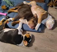 processed/30482242-54e0-4243-beee-9ad48e0811e4/facility/4d695e51-5741-42c7-9d8c-e92b3414621e