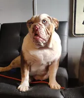 processed/30482242-54e0-4243-beee-9ad48e0811e4/facility/6434ec76-772f-4a67-8e84-08c470c88f95