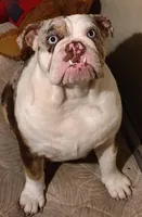 processed/30482242-54e0-4243-beee-9ad48e0811e4/facility/dadd7337-0c41-4bc8-bb82-4f3fef48ae45