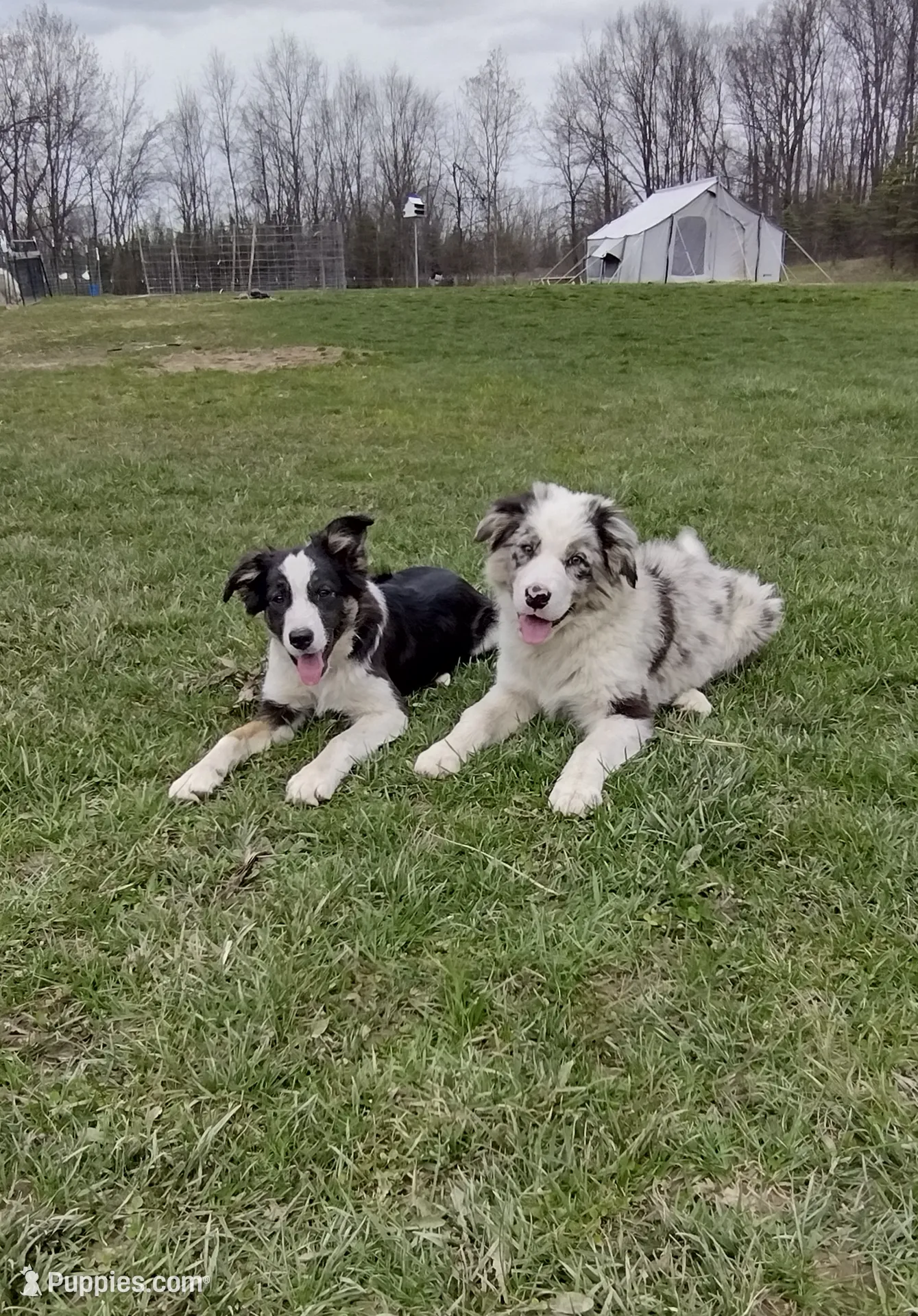 processed/304ed69b-5d5b-4732-90bd-784ff5ec9985/facility/268963b5-739a-4c69-bf80-d427431f4230