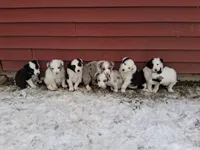 processed/304ed69b-5d5b-4732-90bd-784ff5ec9985/facility/9461a9f2-3279-497e-913a-ec941de3c907