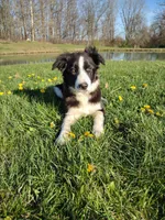 processed/304ed69b-5d5b-4732-90bd-784ff5ec9985/facility/bf0aa078-f40f-4c74-a6ea-033718a2b838