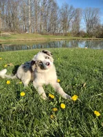 processed/304ed69b-5d5b-4732-90bd-784ff5ec9985/facility/dd54c052-cf57-481a-8c55-cc649429d05c