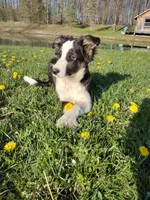 processed/304ed69b-5d5b-4732-90bd-784ff5ec9985/facility/eb2213d4-67ed-4c15-8f16-166a9769fb98