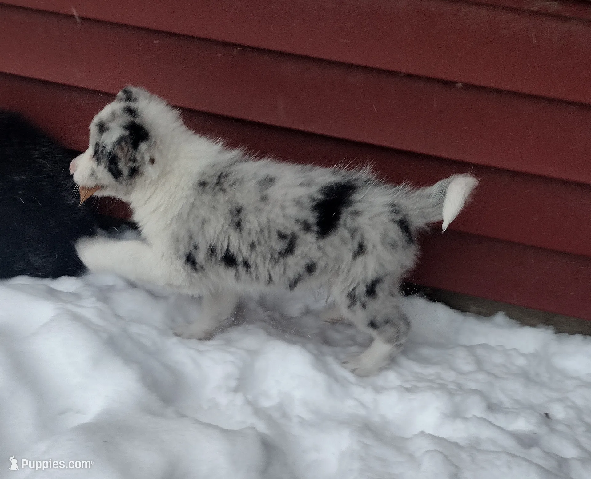 processed/304ed69b-5d5b-4732-90bd-784ff5ec9985/listing/0aaf181d-6c10-4277-8f42-97bc8ef5af93/05068d7d-b31c-44dc-8b88-e5f73cf53248