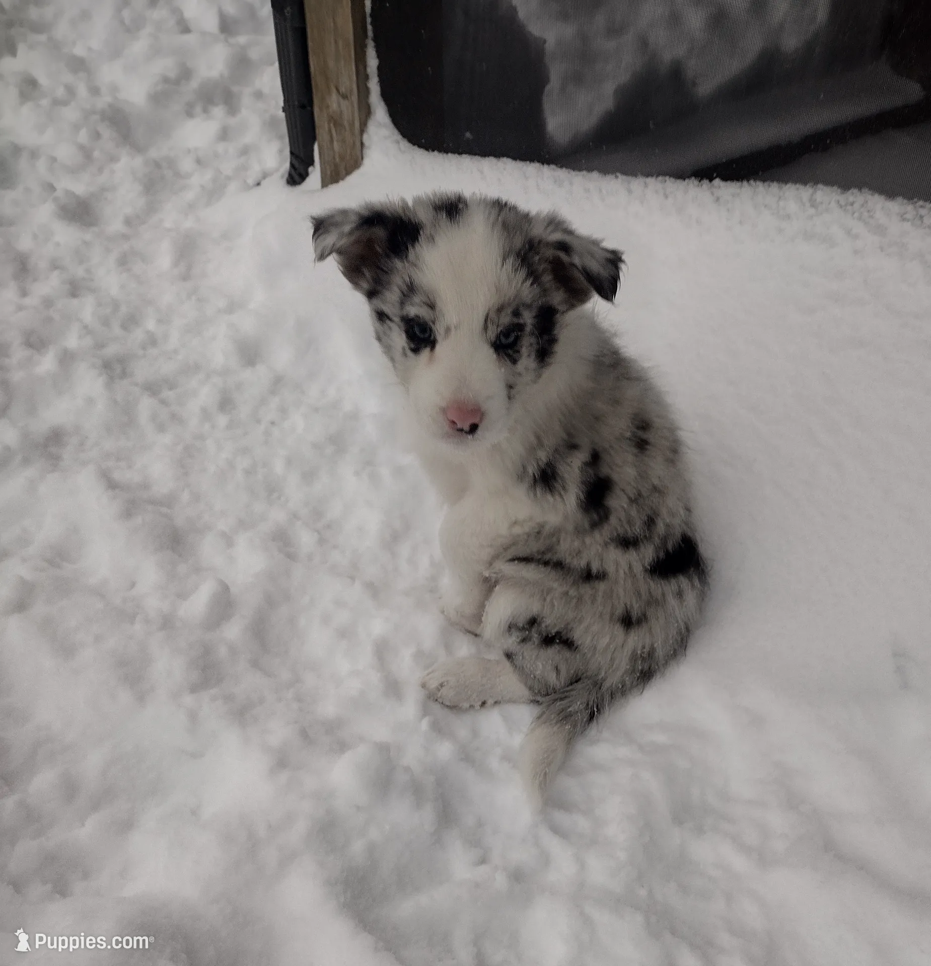 processed/304ed69b-5d5b-4732-90bd-784ff5ec9985/listing/0aaf181d-6c10-4277-8f42-97bc8ef5af93/3380e281-0bdc-4db4-97d0-6c9a1fdcdba8