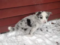 processed/304ed69b-5d5b-4732-90bd-784ff5ec9985/listing/0aaf181d-6c10-4277-8f42-97bc8ef5af93/445d02de-ecb2-47e6-92a9-4216da6222eb