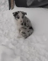 processed/304ed69b-5d5b-4732-90bd-784ff5ec9985/listing/0aaf181d-6c10-4277-8f42-97bc8ef5af93/9411be37-519a-460b-aa34-c49d02d7d627