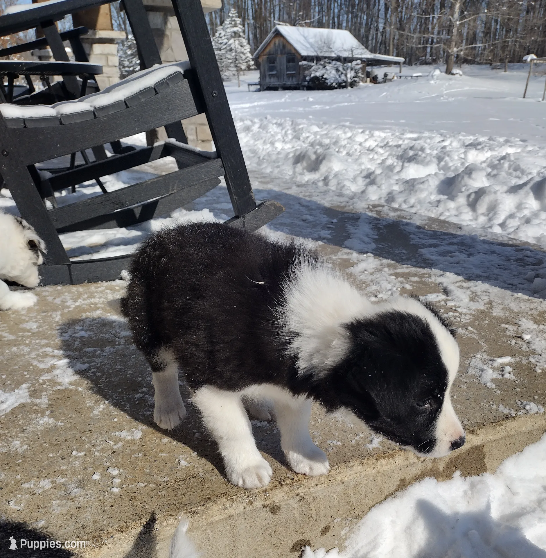 processed/304ed69b-5d5b-4732-90bd-784ff5ec9985/listing/31b9f85b-d570-4b5d-b559-0e49a4ef15f3/206c4fa6-eb0f-4fb6-96c9-1a9dc0a776ad