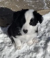 processed/304ed69b-5d5b-4732-90bd-784ff5ec9985/listing/31b9f85b-d570-4b5d-b559-0e49a4ef15f3/53e45a02-1058-4b2b-b295-a79c7aff56ce