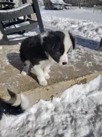 processed/304ed69b-5d5b-4732-90bd-784ff5ec9985/listing/31b9f85b-d570-4b5d-b559-0e49a4ef15f3/5a684c3d-e379-4583-9f5f-90964ba86f13