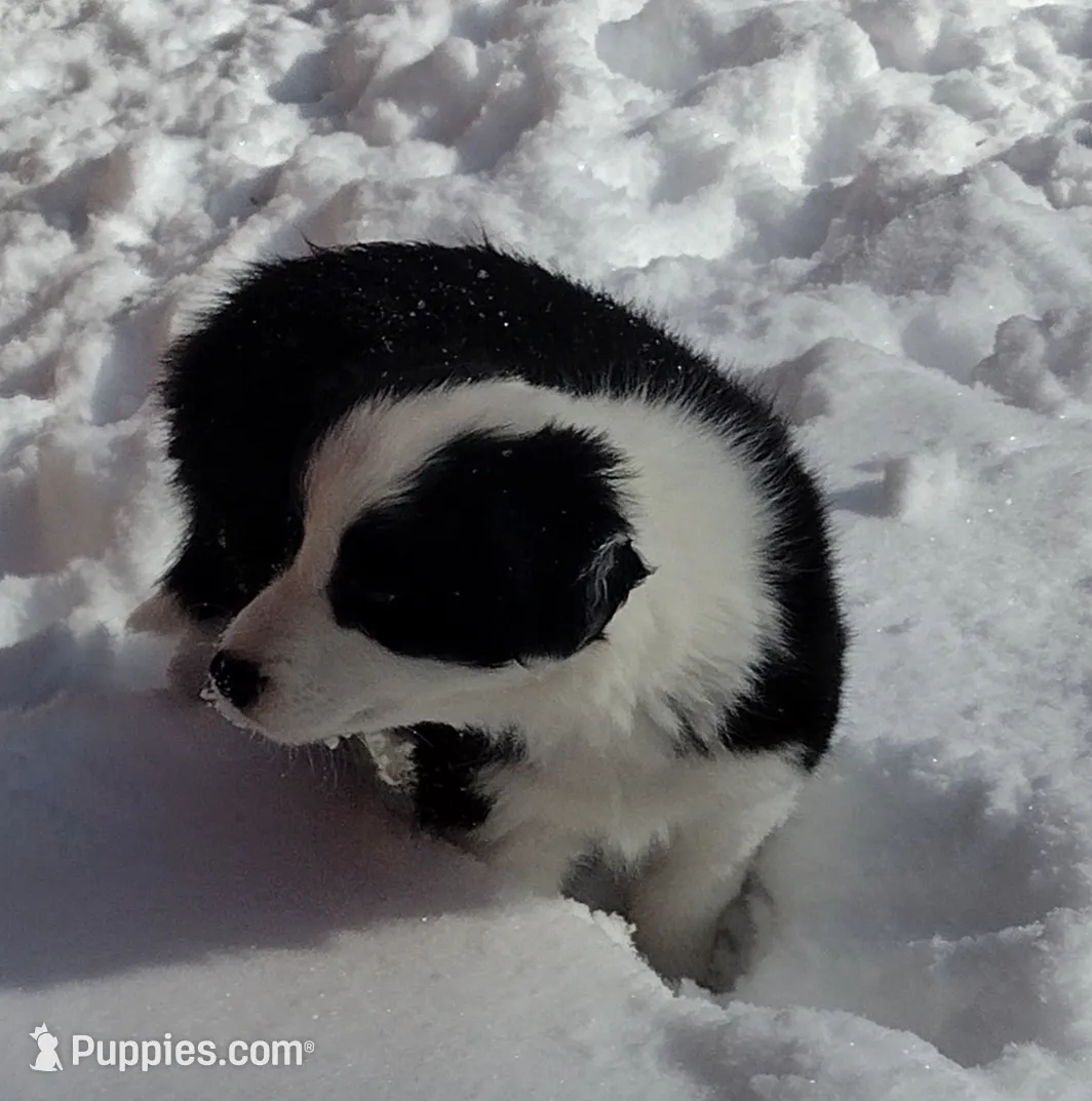 processed/304ed69b-5d5b-4732-90bd-784ff5ec9985/listing/31b9f85b-d570-4b5d-b559-0e49a4ef15f3/c535b279-eb4c-4798-b5f9-eff14f04d238