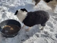 processed/304ed69b-5d5b-4732-90bd-784ff5ec9985/listing/31b9f85b-d570-4b5d-b559-0e49a4ef15f3/c93c870f-b6c4-4068-bf48-089521864a5a