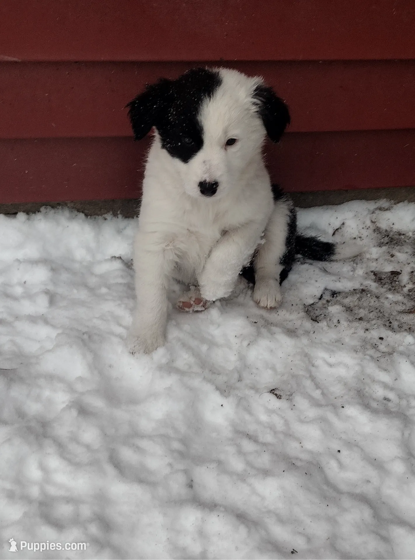 processed/304ed69b-5d5b-4732-90bd-784ff5ec9985/listing/91fd4aaa-7cfa-4ea9-88c8-df6d1ac5f523/0ec973a5-8f42-490d-b61f-f0697e20025e