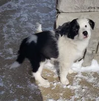 processed/304ed69b-5d5b-4732-90bd-784ff5ec9985/listing/91fd4aaa-7cfa-4ea9-88c8-df6d1ac5f523/13db9cd7-0d41-4033-825f-1cbeffde0af7