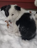 processed/304ed69b-5d5b-4732-90bd-784ff5ec9985/listing/91fd4aaa-7cfa-4ea9-88c8-df6d1ac5f523/7afd65cb-7b3e-420b-8344-e2090dabb033