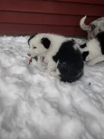 processed/304ed69b-5d5b-4732-90bd-784ff5ec9985/listing/91fd4aaa-7cfa-4ea9-88c8-df6d1ac5f523/d1167b4f-b4b2-4aee-84d2-cedd263bae31