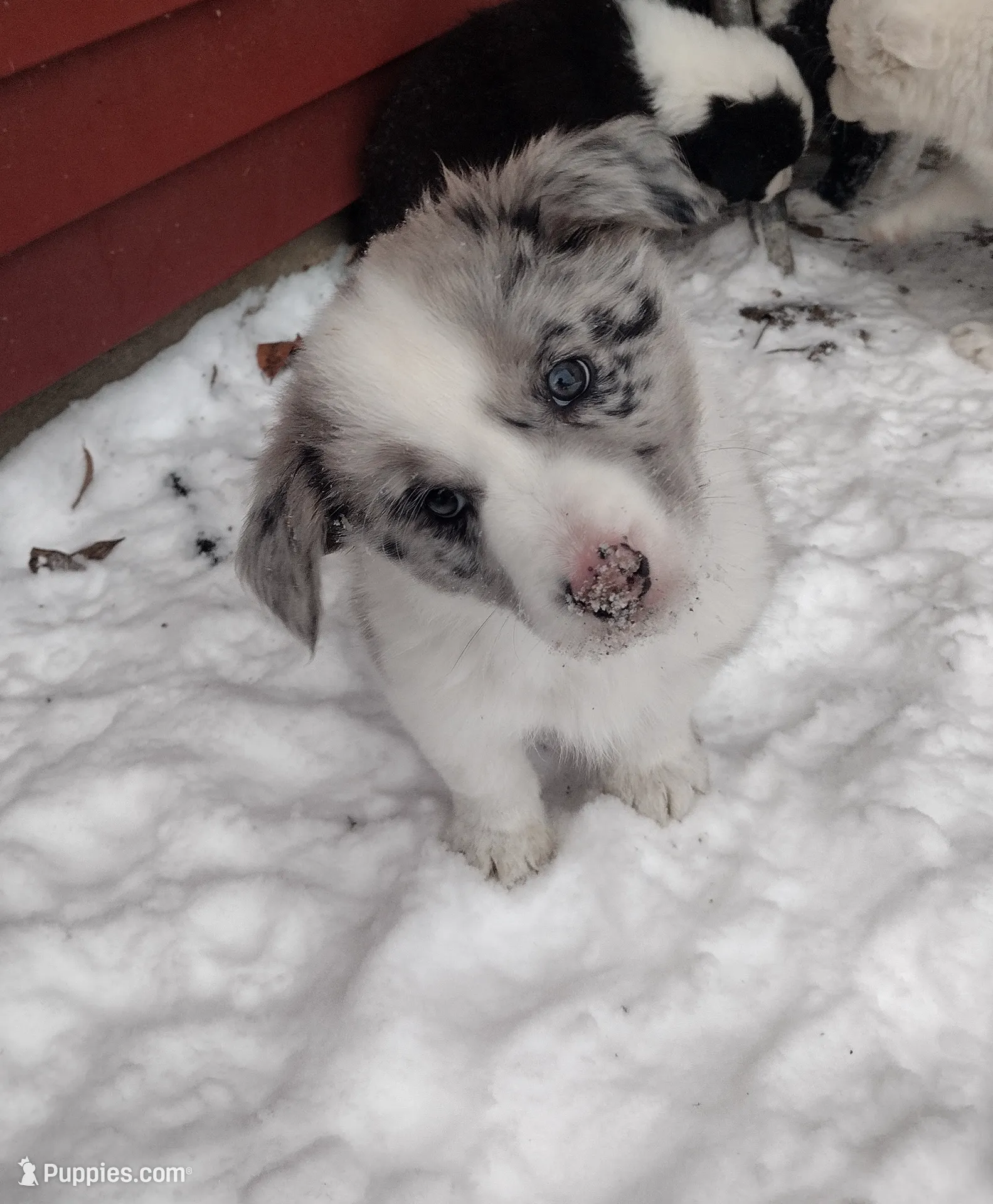 processed/304ed69b-5d5b-4732-90bd-784ff5ec9985/listing/ac838c2e-3234-4f90-a2de-b7868899724a/5ce6164a-b8f5-40d2-ba49-4fb2172e4c44