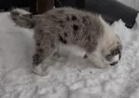 processed/304ed69b-5d5b-4732-90bd-784ff5ec9985/listing/ac838c2e-3234-4f90-a2de-b7868899724a/cf7cd482-a890-4c93-9d72-63afaa16cae2