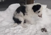 processed/304ed69b-5d5b-4732-90bd-784ff5ec9985/listing/b63e3ff0-2c01-4ee9-adb7-92a787f6e8b6/1a09485a-78fc-4144-872c-677512d8dd73