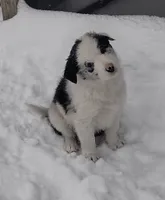 processed/304ed69b-5d5b-4732-90bd-784ff5ec9985/listing/b63e3ff0-2c01-4ee9-adb7-92a787f6e8b6/979c5bbe-267f-44a5-9668-7079bcf0448c