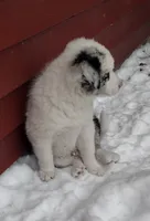 processed/304ed69b-5d5b-4732-90bd-784ff5ec9985/listing/d11c3106-bab7-4dea-95a0-7e98a78dae1b/6b9c0d6c-0f36-4030-a3e8-d45689bde02c