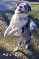 processed/304ed69b-5d5b-4732-90bd-784ff5ec9985/listing/d11c3106-bab7-4dea-95a0-7e98a78dae1b/74613f8f-e68a-4031-bba5-191048290b51