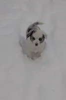 processed/304ed69b-5d5b-4732-90bd-784ff5ec9985/listing/d11c3106-bab7-4dea-95a0-7e98a78dae1b/7771cdee-b7cf-405a-a94b-ddd34675662f