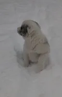 processed/304ed69b-5d5b-4732-90bd-784ff5ec9985/listing/d11c3106-bab7-4dea-95a0-7e98a78dae1b/f13b002f-71c8-4c91-b5ba-0894ff9cfd4b