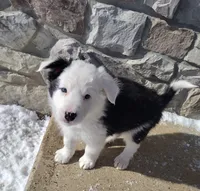 processed/304ed69b-5d5b-4732-90bd-784ff5ec9985/listing/d6c16355-ffb2-44fe-80fb-07fba405ec32/4da46fde-80d7-487e-ba24-dd978ed9ce4e