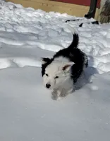 processed/304ed69b-5d5b-4732-90bd-784ff5ec9985/listing/d6c16355-ffb2-44fe-80fb-07fba405ec32/96501c3e-8d70-41c7-84e9-27031c045d08