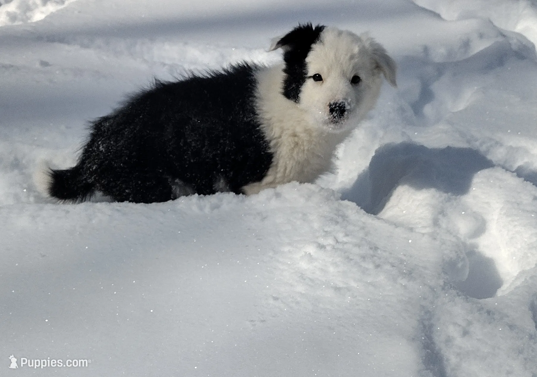 processed/304ed69b-5d5b-4732-90bd-784ff5ec9985/listing/d6c16355-ffb2-44fe-80fb-07fba405ec32/bad705d9-cbb0-4199-a3c3-2d6ef0bc5245