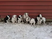 processed/304ed69b-5d5b-4732-90bd-784ff5ec9985/listing/d6c16355-ffb2-44fe-80fb-07fba405ec32/cd6f0a69-c904-4744-95cc-8ca436ad0a6d